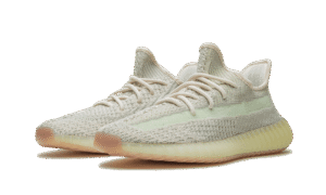 Adidas Yeezy Boost 350