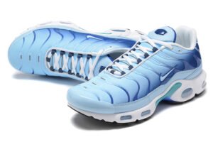 Nike Air Max Plus Tn (40-46)