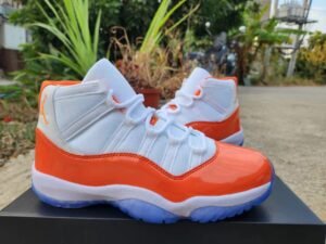 Nike Air Jordan 11