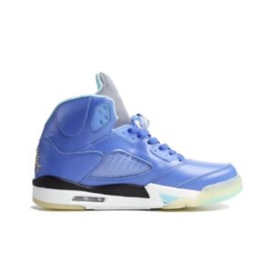 Nike Air Jordan 5